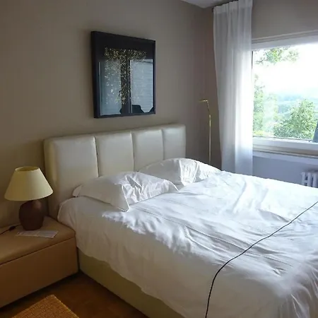 Grosszuegige Mit Terrasse Und Rheintalblick In Ruhiger Wohnlage شقة لينتس آم راين