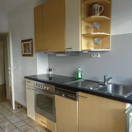 شقة Grosszuegige Mit Terrasse Und Rheintalblick In Ruhiger Wohnlage لينتس آم راين
